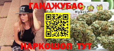 гидра Новодвинск