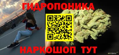 гидра Новодвинск