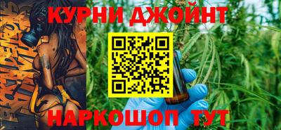 гидра Новодвинск