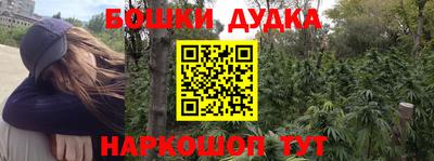 МДПВ Новозыбков