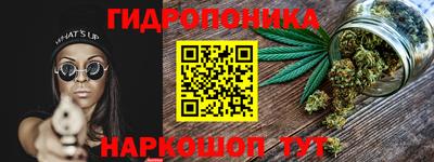 МДПВ Новозыбков