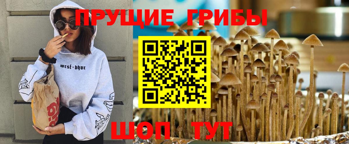 Новосибирск  Галлюциногенные грибы ЛСД  Галлюциногенные грибы мицелий  Вход с VPN 