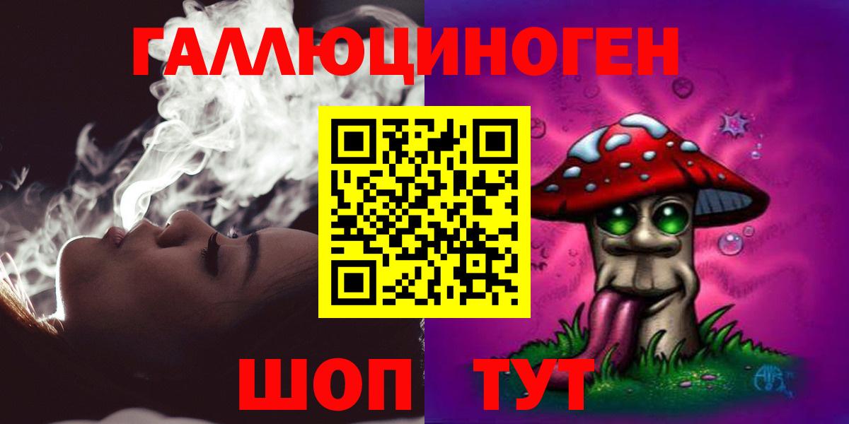 Галлюциногенные грибы Psilocybine cubensis Новосибирск